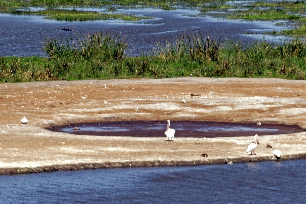 Kenia (226).jpg